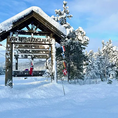 Hotel Bjorliheimen Fjellhotell-hotellrom *