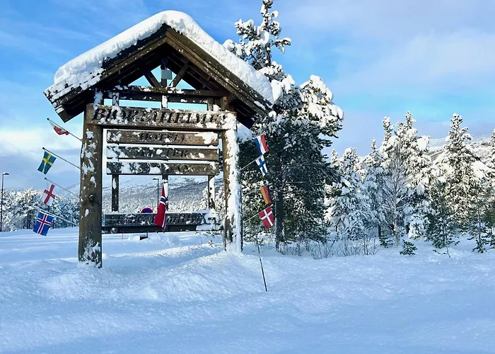 Hotel Bjorliheimen Fjellhotell-hotellrom *